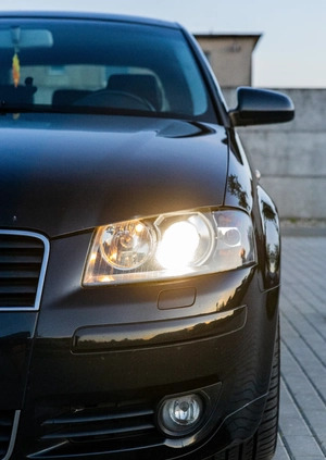 Audi A3 cena 8500 przebieg: 224158, rok produkcji 2003 z Brusy małe 326